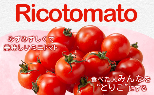 【2025年12月中旬から出荷】たにぐちファーム 完熟ミニトマト 約1kg 『Ricotomato とりこになるトマト』 B-324