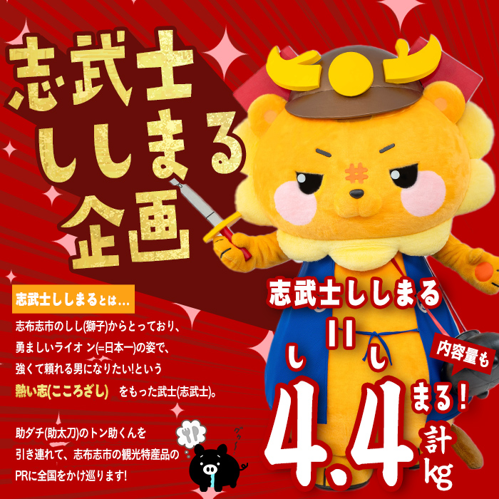 【定期便全4回】ししまる牛・豚定期便B(4ヶ月連続・計4.4kg) t0051-002