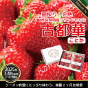 【ふるさと納税】【3・4月増量発送】奈良県特産 高級ブランドいちご「古都華」旬の2ヶ月定期便 4パック×2ヶ月// いちご イチゴ 古都華 フルーツ 果物 旬 限定 ブランド 定期便