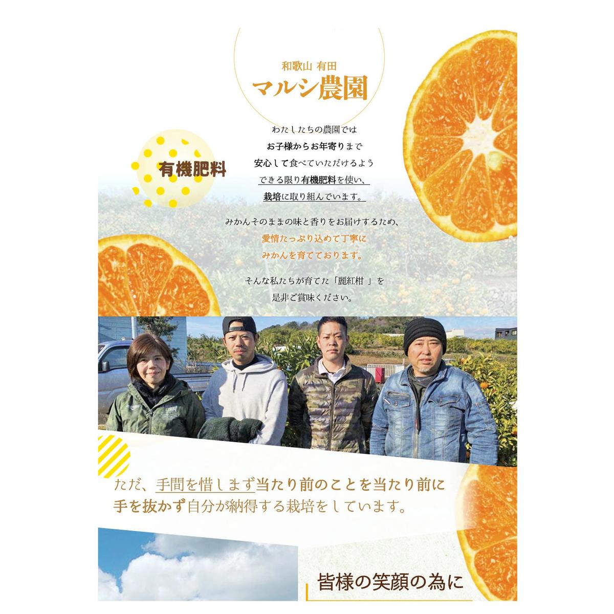 【2027年先行受付】麗紅柑 (れいこう) 赤秀品 S～2Lサイズ 3kg 和歌山有田産_BF6062_イメージ3