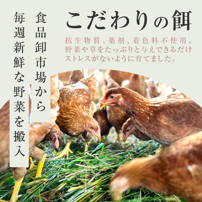 【医師監修】野菜を食べて育った平飼いの卵「もみじ卵」（30個入り）