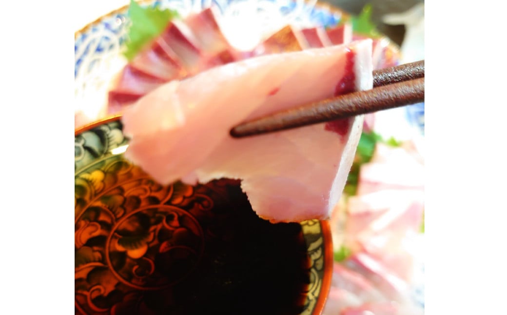 丸ごと1本！長崎近海 活き〆天然寒ヒラス (ヒラマサ) 5kg台 (5.2〜5.8kg) ／ 魚 魚介 鮮魚 海鮮 天然 ヒラマサ ヒラス 刺身 大将農園 長崎県 長崎市 【2025年9月下旬～202