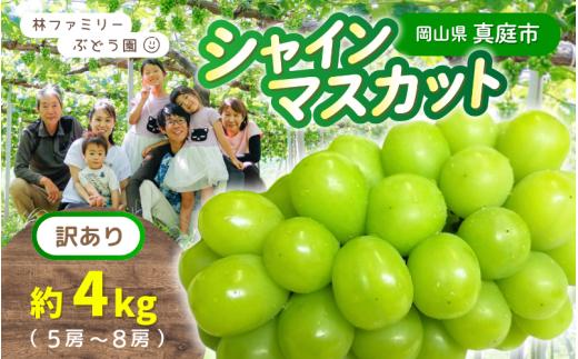 【訳あり】岡山県産 林ファミリーのシャインマスカット 約4kg（約5～8房） 【2025年先行予約】 / 岡山 真庭 シャインマスカット 葡萄 ぶどう ブドウ 果物 フルーツ 新鮮 人気 数量限定 お買い得 家庭用 お試し たっぷり ぶどう専門  (2025年9月上旬～発送予定)