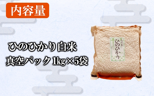 【令和7年産】関東(せきひがし)のひのひかり 白米 5kg 真空 パック 熊本県 南関町産 単一原料米 ヒノヒカリ 産地直送 お米