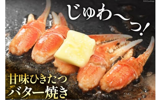 リピーター続出！ 本ずわいがに爪 約700g [カネダイ 宮城県 気仙沼市 20564321] 蟹 かに カニ ずわいがに ズワイガニ ずわい蟹 ズワイ蟹 ずわい ズワイ 蟹 カニ爪 蟹爪 カニ爪肉 