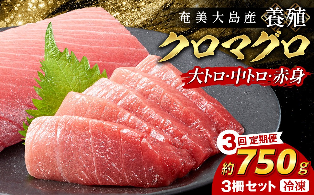 
                  【3回定期便】奄美大島産養殖クロマグロ 3柵セット 750g以上
                