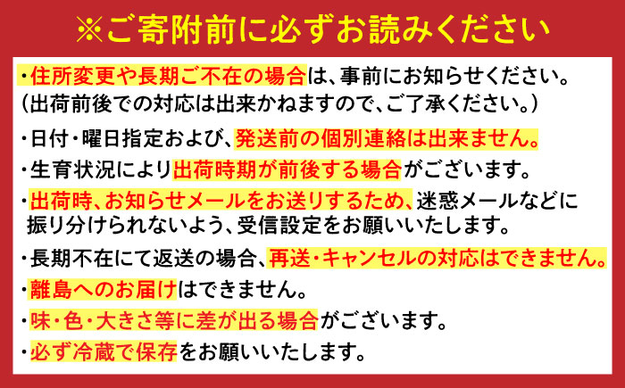【全5回定期便】佐賀のフルーツ「Bコース」 / 定期便 フルーツ 果物 / 佐賀県 / 佐嘉ZEYTAKUYA [41AQAA048]