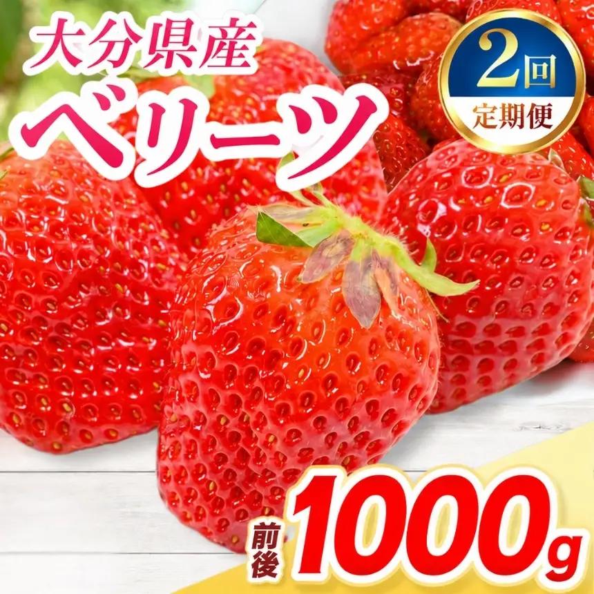 【定期便2回】ベリーツ × 4パック ( 約1000g ) ( 1パック/250g前後 ) | いちご ベリー フルーツ 果物 産地直送 大分県 中津市
