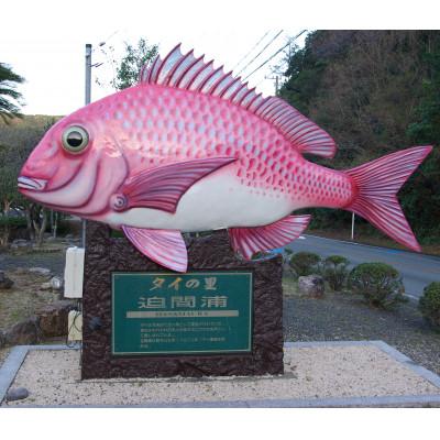 ふるさと納税 南伊勢町 タイ ブリ 海鮮 しゃぶしゃぶ 100g 各4袋 計800g 刺身カット済 伊勢志摩産 産地直送 |  | 03