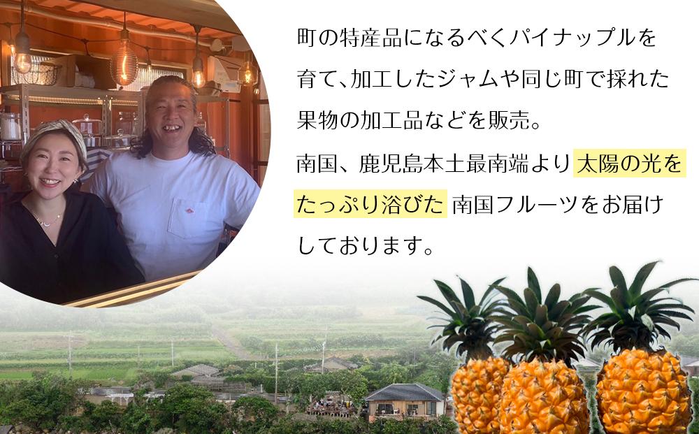 先行予約 ☆ 濱田農園 パッションフルーツ ☆ 2kg 家庭用
