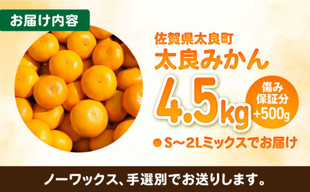 完熟 太良みかん 計5kg（4.5kg＋500g傷み保証分） / 佐賀県 / 山本農園 [41ATBT003]