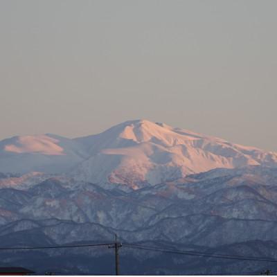 ふるさと納税 能美市 【毎月定期便】コシヒカリ米4.5kg精米　全6回 |  | 02