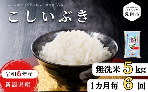 
            無洗米 定期便 5kg×6か月 (計 30kg) 新潟県産 こしいぶき 令和6年産 精米したてをお届け 新潟のど真ん中 見附市
          