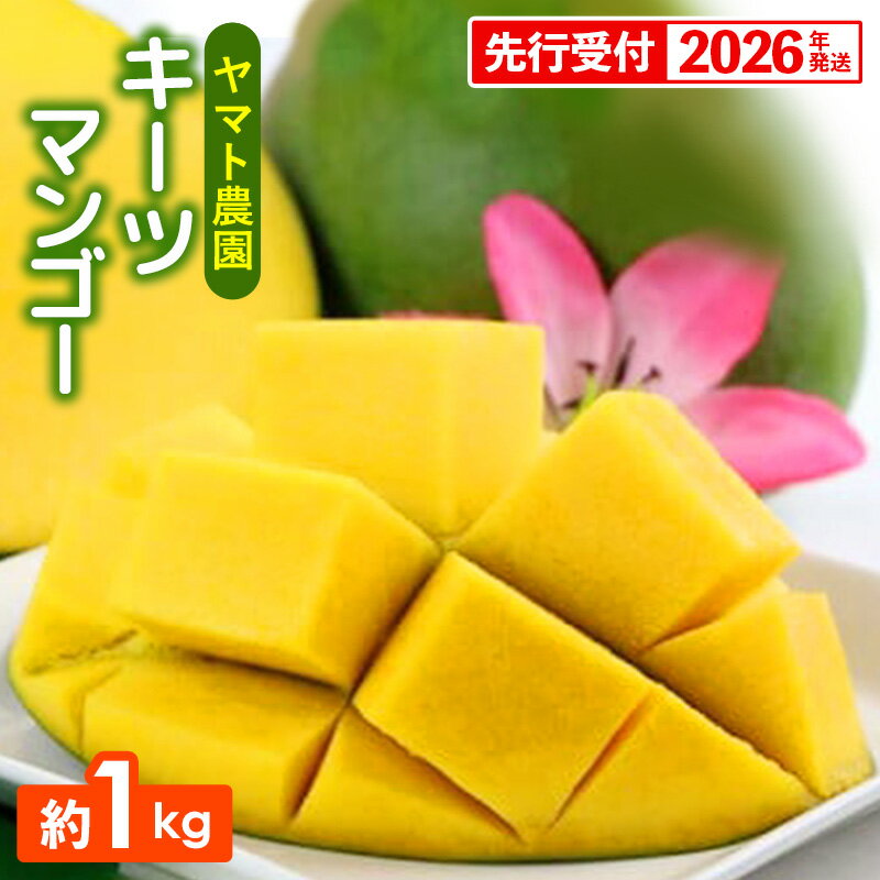 【ふるさと納税】【先行受付】【2026年発送】ヤマト農園 キーツマンゴー約1kg - 産地直送 沖縄産 国産 果物 フルーツ 南国フルーツ 旬の味覚 追熟 先行予約 幻の味 人気 おすすめ 送料無料 沖縄県 八重瀬町
