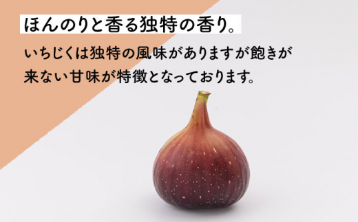 【先行受付】いちじく 約300g×4パック【田崎FARM】[OCU004] / いちじく 無花果 イチジク 長崎県産いちじく 川棚町産無花果 肉厚イチジク いちじく ふるーつ フルーツ 果物 くだもの