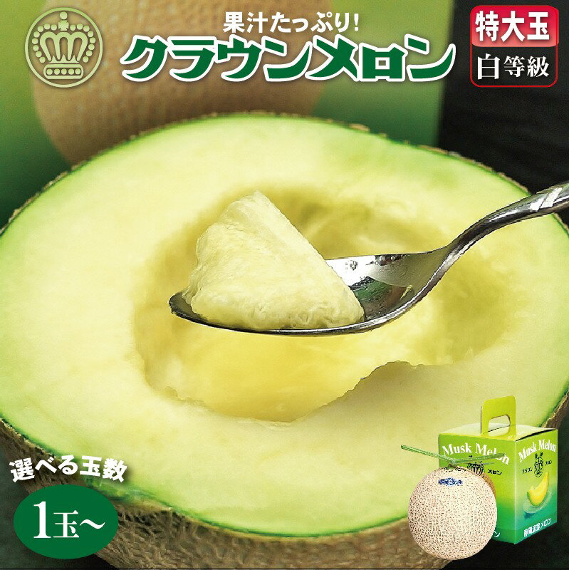 【ふるさと納税】【大玉サイズ!】クラウンメロン(白等級)特大玉　1玉 【通年出荷】【配送不可地域：離島・北海道・沖縄県】【1104734】