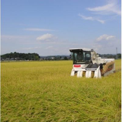 ふるさと納税 常陸太田市 【毎月定期便】黄門米特別栽培米コシヒカリ白米5kg×2袋全6回 |  | 03