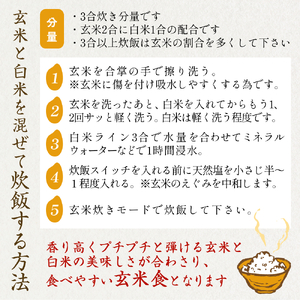 ＜ 食べ比べ ＞ 令和7年産 氷見産コシヒカリ 氣ノ源 豊穣米 （ 玄米 ・ 白米 各2合 ） お米自慢コンクール優秀賞！ 精米 米 コシヒカリ 富山県産 富山県 氷見市