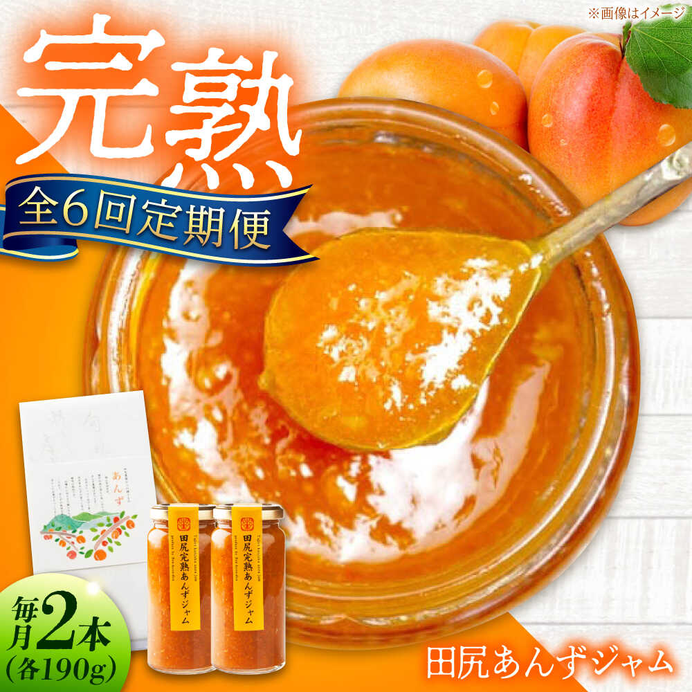 【ふるさと納税】【全6回定期便】 ジャム 田尻完熟あんずジャム (2本) ジャム 果物 あんず パン 甘い 菓子 朝ごはん おすすめ 人気 フルーツジャム トースト ヨーグルト パンケーキ 瓶詰め ギフト 贈り物 定期便 送料無料 広島県福山市/有限会社勉強堂[BAFL013]