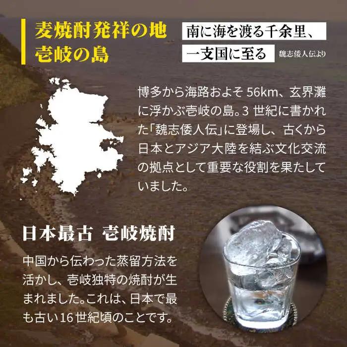【全12回定期便】 麦焼酎 壱岐 25度 1800ml 紙パック 6本 《壱岐市》【ふるさと納税】 むぎ焼酎 焼酎 麦 酒 お酒 [JDB318] 492000 492000円