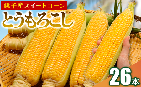 とうもろこし 26本 とうもろこし 【先行予約】 