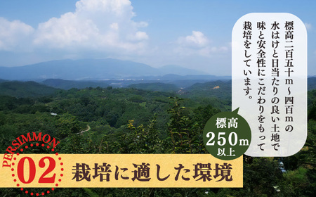 富有柿 特選 約 10kg （ 33～ 42個 入 ） | フルーツ くだもの 果物 柿 かき カキ 奈良県 五條市 果実 11月 12月 発送 秋 旬 味覚 グルメ お取り寄せ 送料無料 大容量 選