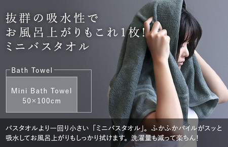 （今治タオルブランド認定品）今治タオル ホテルズ ミニバスタオル12枚セット(モカブラウン)ヒオリエ【I001910MBT12MBR】