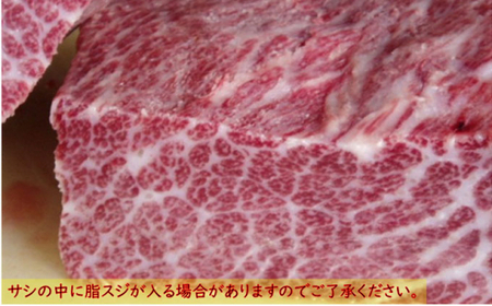 霜降り鯨肉/熟成尾肉（尾の身）切り落とし500g【訳あり不揃い】 mi0012-0045