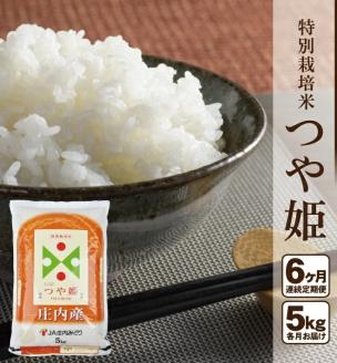 SM0044　【6回定期便】［精米］特別栽培米 つや姫　5kg×6回(計30kg) JM