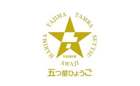 倭紋－わもん－地下足袋 阪神タイガース公認 タイガース・虎（22.0cm）【兵庫県  高砂市】