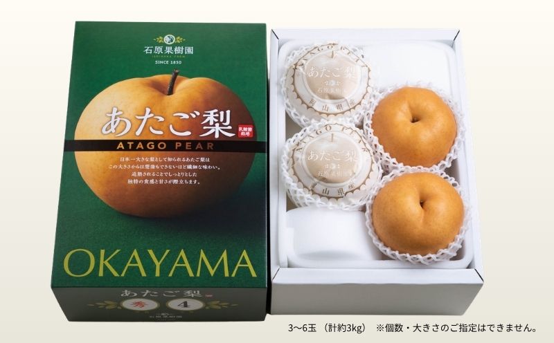 梨 あたご梨 先行予約 3kg 3-6玉 化粧贈答箱 赤秀 岡山県産 | あたご梨 愛宕梨 梨 特選品 上級品 贈り物 御歳暮 果物 くだもの フルーツ 和梨 石原果樹園【ishk011-01】