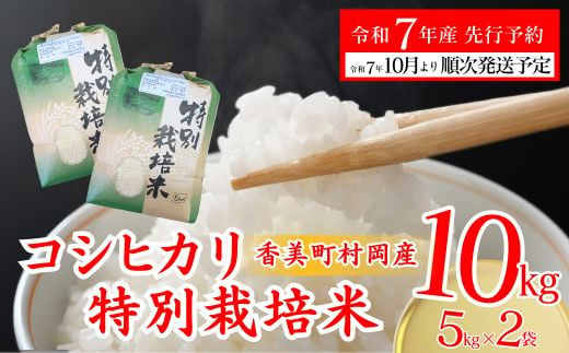 【先行予約 令和7年産米】【香美町 村岡産 コシヒカリ 特別栽培米 精米10kg】 米 ふるさと納税 おすすめ 返礼品 ランキング 令和7年10月以降順次予定 但馬牛の堆肥による土づくり 自然循環型の有機栽培 安全・安心なお米を生産 炊きあがったお米の粒立ちが格別 ふっくらもちもち食感 香りと甘みも非常に豊か 冷めても美味しい米 送料無料 兵庫県 香美町 コシヒカリ 35000円 71-02