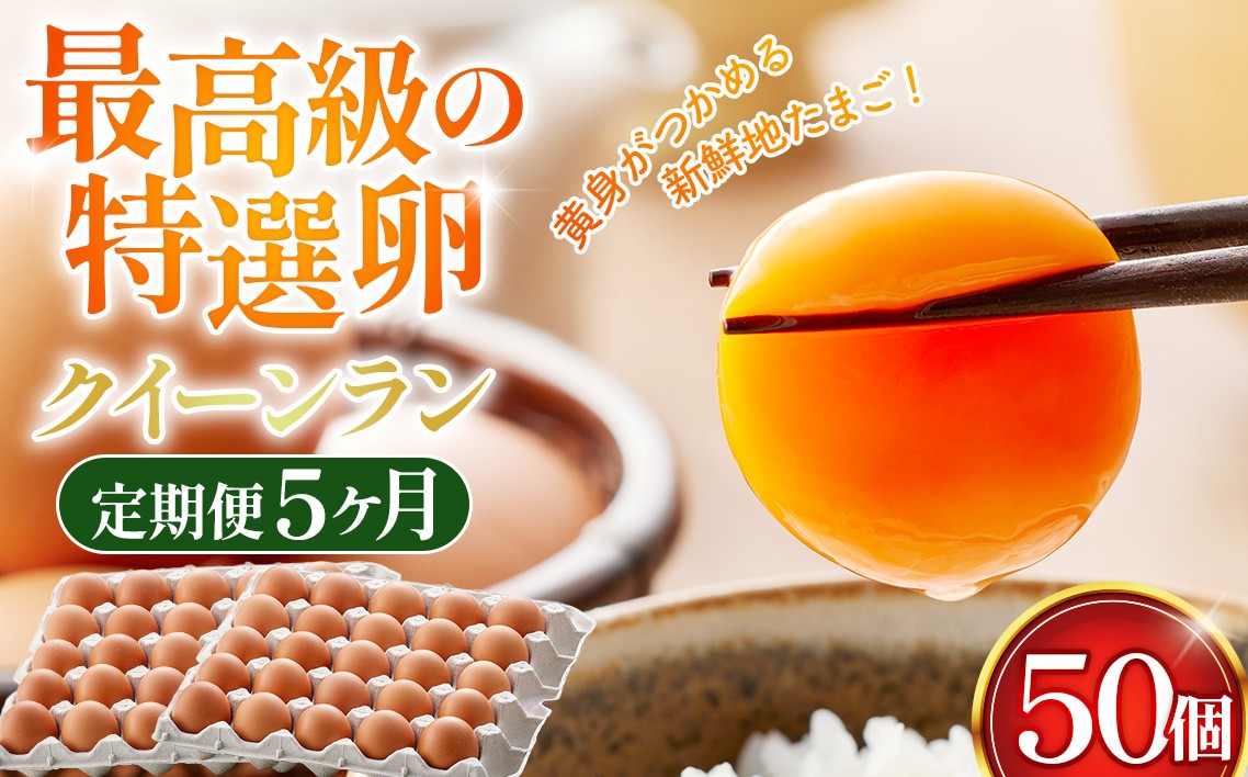 
                  黄身がつかめる新鮮地たまごクイーンラン 赤玉50個入《定期便5ヶ月》 ／ 卵 毎月発送 定期便 新鮮卵 卵かけご飯 TKG 濃厚卵 黄身 弾力卵 生卵 卵料理 大容量 卵まとめ買い 新鮮食材 朝食食材 料理食材 家庭用卵 No.227
                