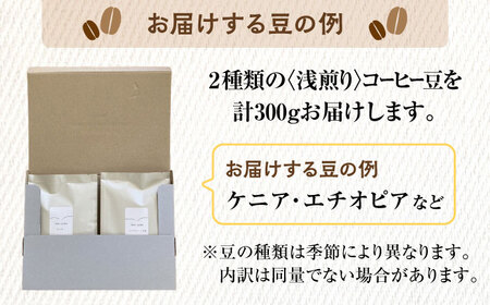 こだわりの自家焙煎 コーヒー豆 〈浅煎り〉 2種 計300g 多治見市 / Jikan ryoko コーヒー[TDR001]