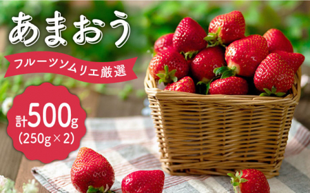 【12月上旬より発送】先行予約！福岡産 いちご【冬】あまおう 2パック＜南国フルーツ株式会社＞ 那珂川市 いちご フルーツ くだもの 果物 あまおう 九州産 苺 国産  [GCD011]13000 13000円