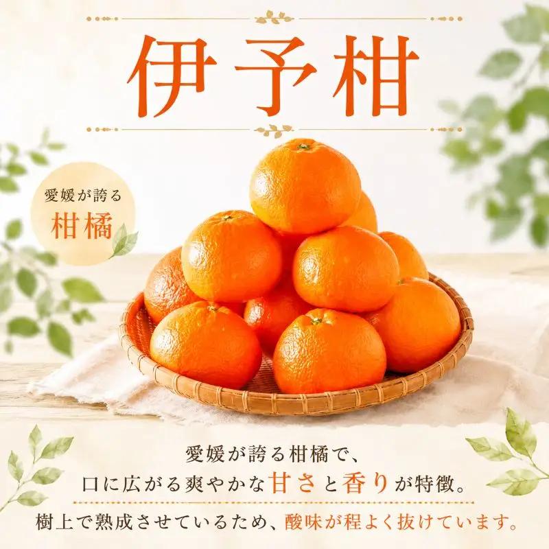 【2027年1月下旬から順次発送 】【伊予柑】 約10kg 伊予柑 愛媛県松山市【DRM006】