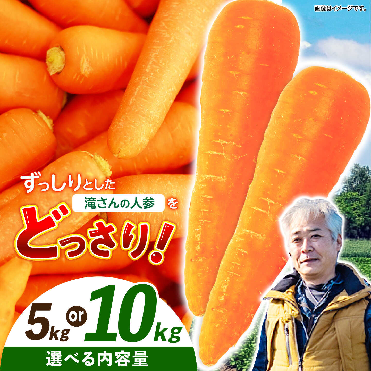 【ふるさと納税】※【2026年11月下旬より順次発送／先行予約】＜選べる容量＞5kg 10kg 滝さんの人参 / にんじん ニンジン 人参 やさい 野菜 にんじんジュース 人参ジュース ニンジンジュース キャロット キャロットジュース / 諫早市 / 滝商店株式会社 [AHCU001]