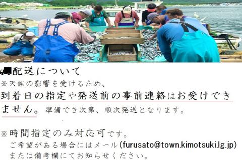 【3回定期便】魚屋さんの選んだ新鮮お魚詰め合わせ（約4人分）