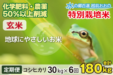 【令和5年産】【6ヶ月定期便】こしひかり 30kg × 6回 計 180kg【玄米】減農薬・減化学肥料 「特別栽培米」－地球にやさしいお米－[O-003006]