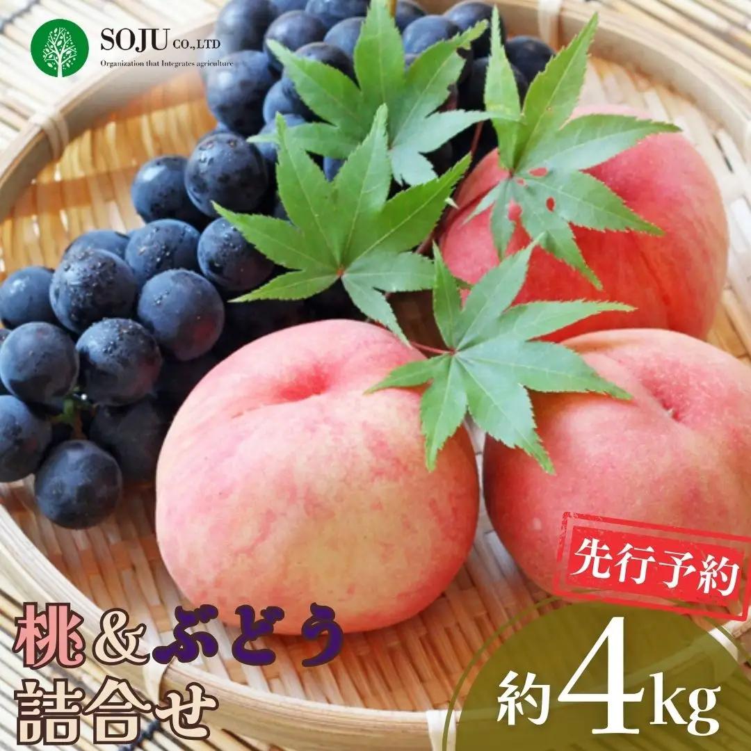 先行予約 季節の桃&ぶどう詰合せ 約4kg 令和8年度 桃（日の出 あかつき なつっこ 川中島白桃 あきぞら 白根白桃 黄金桃） ぶどう（巨峰 シャインマスカット ロザリオビアンコ セキレイ）贈答用 