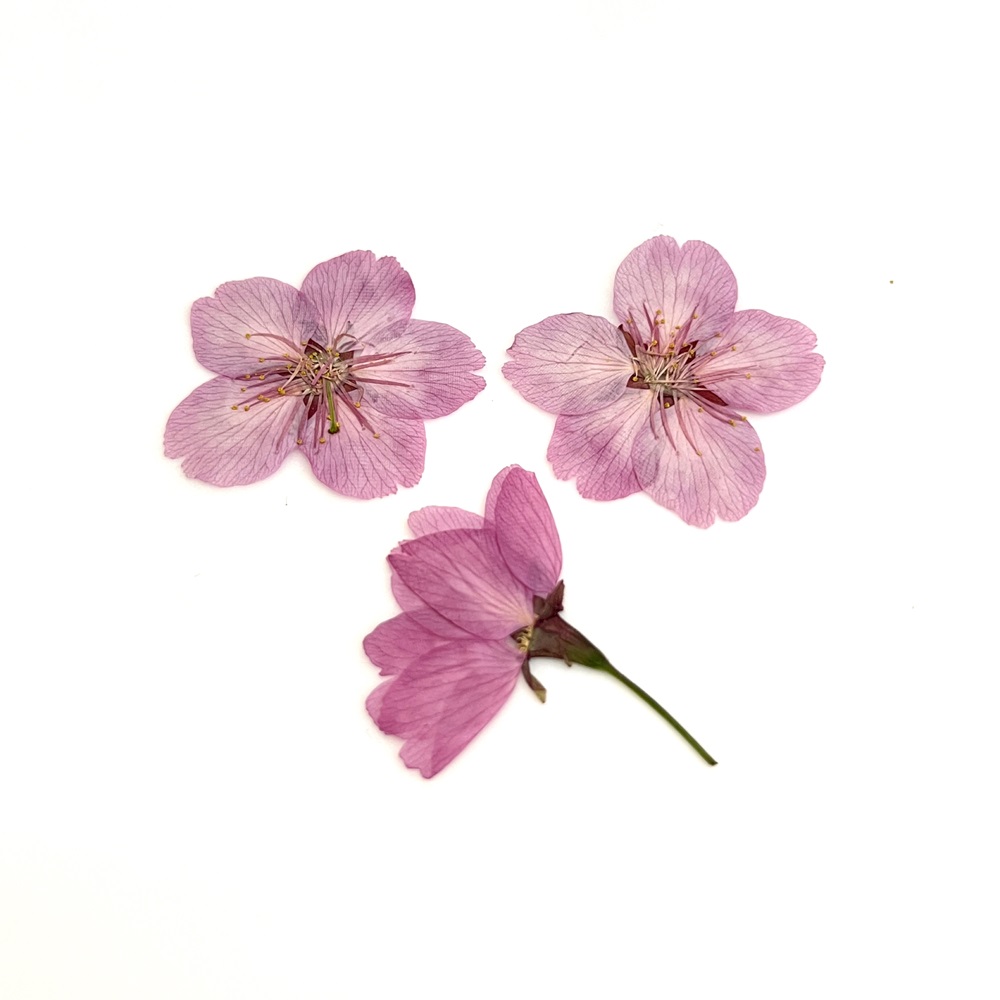 桜のモチーフ×天然石ブレスレット｜天然石 ブレスレット 桜 淡いピンク 上品 柔らかい印象 [1459]_イメージ4
