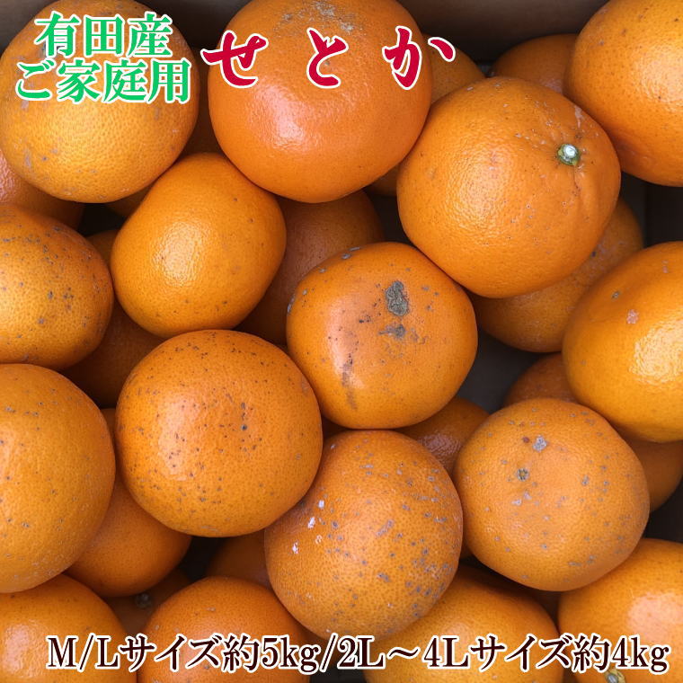 【ふるさと納税】(訳あり・ご家庭用)一度は食べていただきたい「有田産のせとか」約4kg〜5kg　※2027年2月中旬～2027年3月中旬頃に順次発送