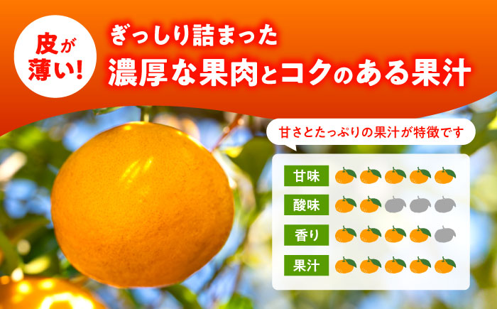 【2026年2月下旬から発送】せとか みかん 約2.5kg 果物 化粧箱入り フルーツ ギフト【小春農園】 [ZBN002]