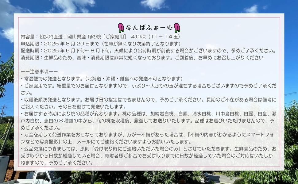 【2025年先行予約】［なんばふぁーむ］岡山県産 旬の桃 4.0kg（11～14玉）［ご家庭用］
