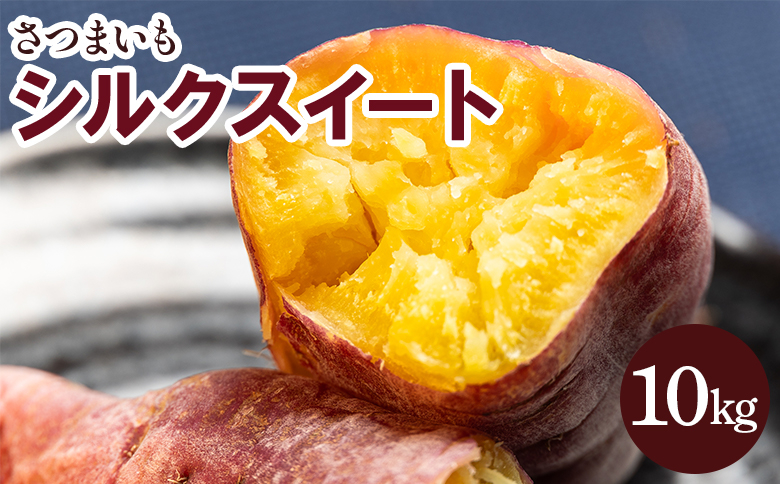 
            さつまいも シルクスイート 10kg - サツマイモ さつま芋 野菜 焼き芋 やきいも 焼いも おやつ スイーツ スイートポテト 天ぷら 国産 高知県 香南市 gr-0135
          