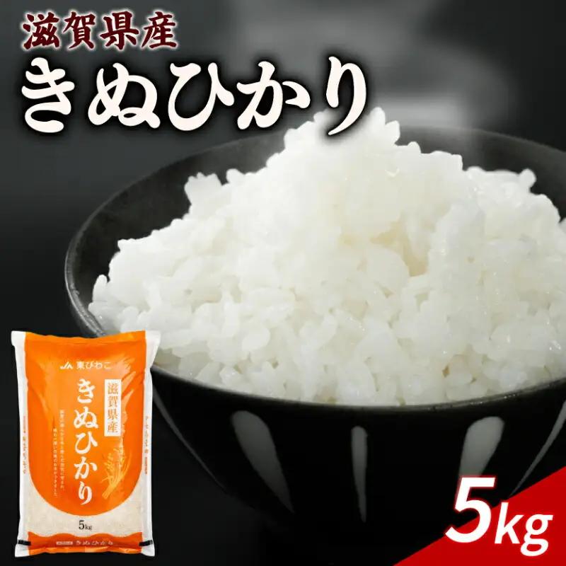 きぬひかり 白米5kg キヌヒカリ (令和7年産米)