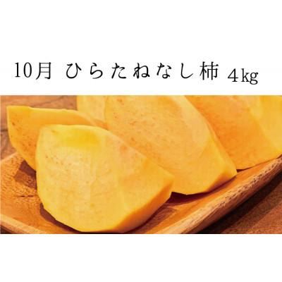 ふるさと納税 北山村 【発送月固定定期便】秋の味覚 果物定期便 柿・みかん　旬のフルーツを毎月お届け【tkb130】全3回 |  | 01