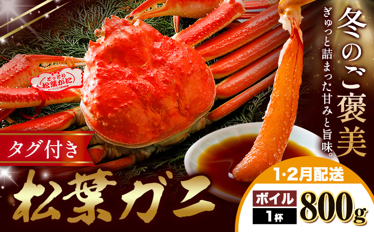 【ふるさと納税】カニ 松葉ガニ 800g  ボイル 1杯 《1月・2月発送》 SOO合同会社 鳥取県 八頭町 送料無料  蟹 かに 姿 鍋 ズワイガニ  ズワイ蟹 ボイル 松葉ガニ