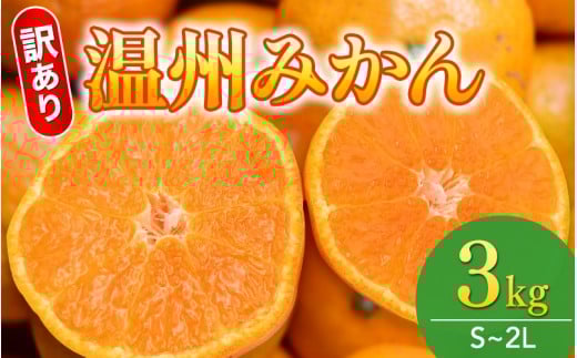 【和歌山県産】訳あり 温州みかん 3kg(早生・中生・晩稲)【S～2Lサイズおまかせ】【2025年10月中旬～2026年2月中旬頃までに順次発送】＜味好農園＞/「おてんば娘」みかん 蜜柑 柑橘 温州みかん 訳あり 果物 フルーツ 【agy016】