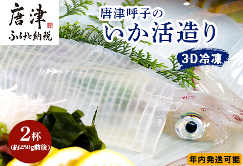 『予約受付』唐津呼子産いか活造り 2杯(約250g×2) 急速冷凍 新鮮そのまま食卓へ！イカ 刺身 簡単 ギフト※水揚げあり次第令和6年6月以降順次発送させていただきます。